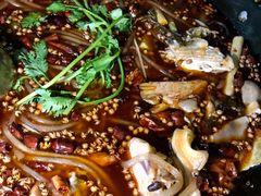 美牛蛙鱼头多-鸿顺老铁锅美蛙鱼府(解放碑店)
