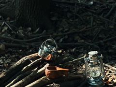 -上海共青森林公园