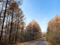 -五女山景区