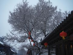 -爱新觉罗皇家博物院
