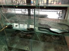 -桃苑居阳澄湖·蟹千恩(美人腿店)