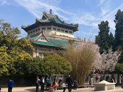 -武汉大学-樱园