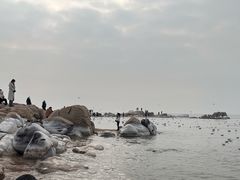 -老虎石海上公园