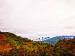 -梦幻奥陶纪景区