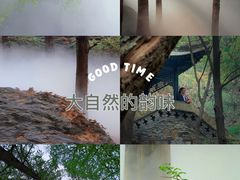 -国家植物园