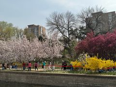 -元大都城垣遗址公园