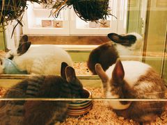 -龙猫仔乐园(惠福东路店)