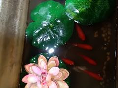 -李记饺子·熏酱东北菜(欢乐谷店)