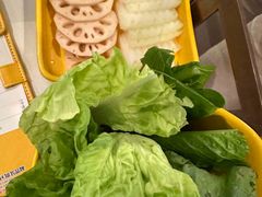 -润园四季椰子鸡火锅(海上世界店)