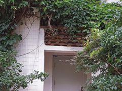 -花迹(富春江东街店)