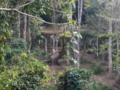 -野象谷景区