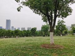 -天鹅湖体育公园