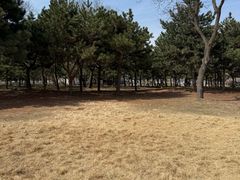 -石家庄市植物园