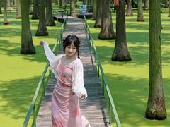 -渌洋湖湿地公园