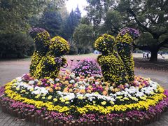 -上海共青森林公园