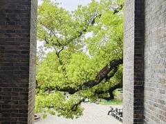 -江心屿景区