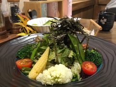 蔬菜沙拉-樱宿日式和牛烧肉(五道口店)