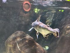 -太平洋海底世界