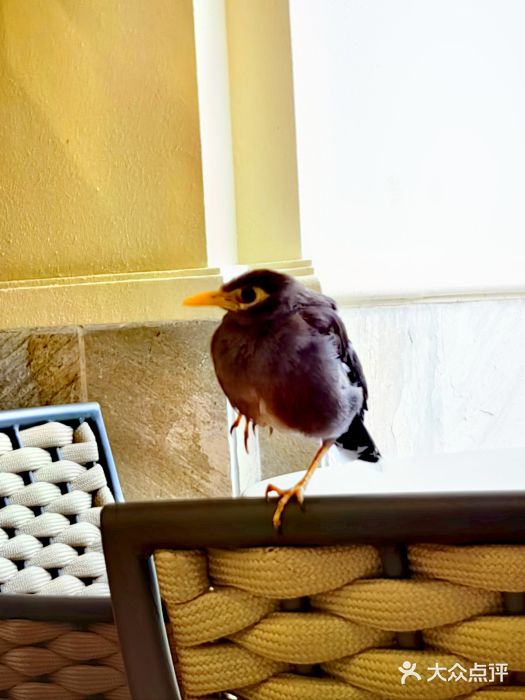 三亚亚龙湾天域度假酒店图片