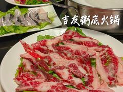 鲜牛展-吉友粥底火锅(方斜路店)
