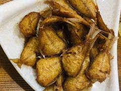 五香扒皮鱼-泰来风味馆(桂林街店)