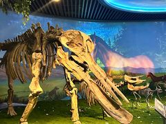 -安徽省地质博物馆