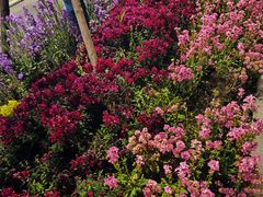 -Ginza Onodera铁板烧(外滩十八号店)