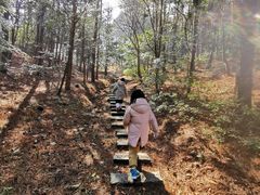 -四明山国家森林公园