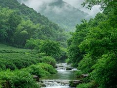 -桃花岭景区