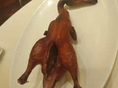 -利苑酒家(合景国际金融广场店)