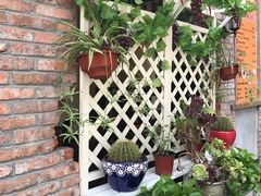 -Rural Tequila墨西哥餐厅(东川路店)