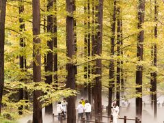 -国家植物园南园