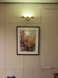 -娇莉芙美颜SPA连锁