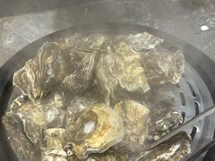 生蚝-顺德联塑万怡酒店·万荟轩自助餐厅