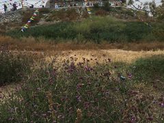 -赛汗塔拉风情园