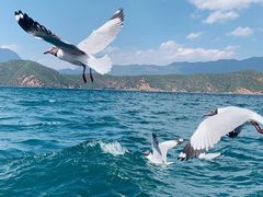 -丽江泸沽湖景区