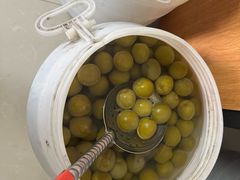 -苏州市吴中区光福窑上花果蜜饯厂