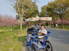 -上海海湾国家森林公园