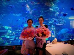 -迪拜帆船酒店海底餐厅