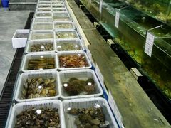 -海岛渔村大酒店(云霄路店)