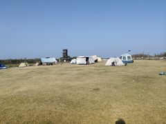 -春花秋色城市公园