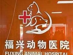 -瑞派福兴宠物医院犬猫全科·骨科·中西医结合(河东店)