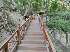 -大岭沟猕猴桃谷风景区