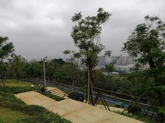 景点-飞凤山奥体公园