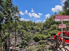 -梭布垭石林景区