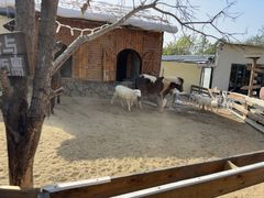 -HERRE·FARM 赫尔露营农场·团建聚会包场