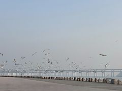 -星海广场