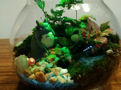 13cm&nbsp;绿植灯瓶-A+匠心DIY手工坊·首饰·微景观