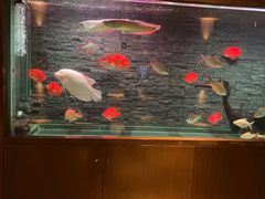 -手佳·水疗汇(嘉益店)