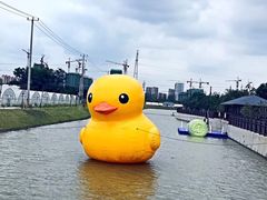 -菊园百果园